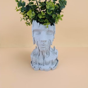 Puede incluir: Una maceta gris con forma de rostro esculpido con un diseño único de goteo. La maceta está llena de eucalipto artificial verde vibrante. Esta pieza decorativa añade un toque de estilo artístico a cualquier espacio.