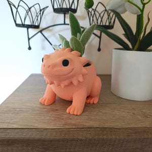 Puede incluir: Una maceta de cerámica con forma de dragón barbudo de color melocotón, con una cara sonriente, que contiene una pequeña planta verde. La maceta está sobre una superficie de madera. Un candelabro de metal negro y una maceta blanca están en el fondo.