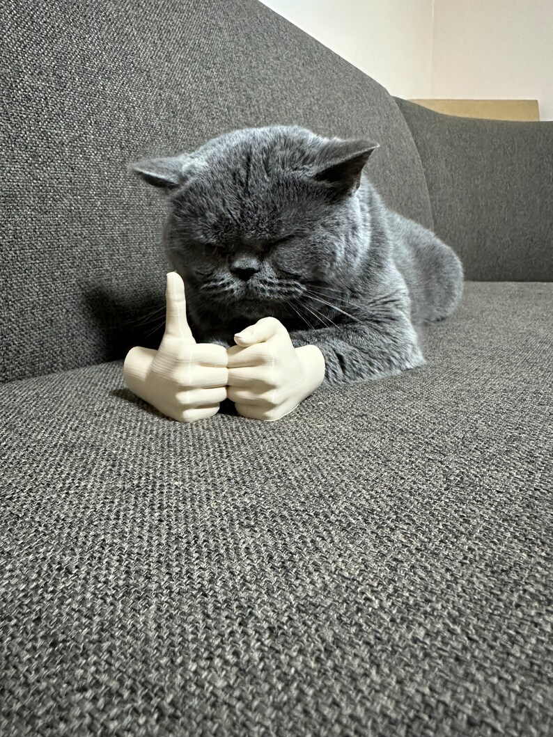 Arms for cats, cute cat costume prop, gift idea for animal lovers, social media cats, 3D printed, gag gift, gift for him or her