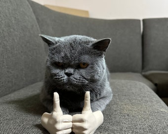 Chapeau De Chat Kiiten Amusant, Décoration De Chev... - Grandado