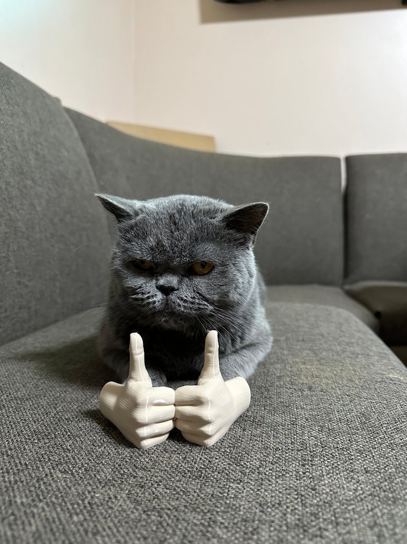 Arms for cats, cute cat costume prop, gift idea for animal lovers, social media cats, 3D printed, gag gift, gift for him or her