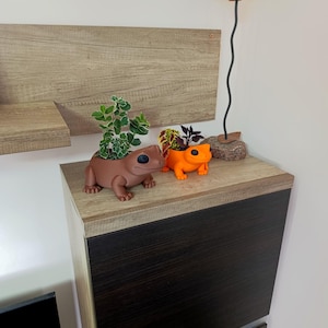 Puede incluir: Dos macetas con forma de rana, una marrón y otra naranja, cada una con pequeñas plantas. La rana marrón tiene follaje verde, mientras que la rana naranja tiene una mezcla de plantas coloridas. Se encuentran sobre una superficie de madera.