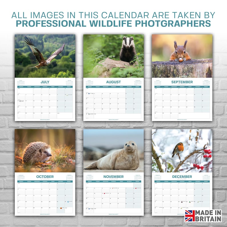 British Wildlife Calendar 2026 – Wildlife & Nature Wall Calendar A4 ...
