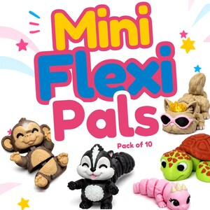 Random mini flexi pals — pack of 10