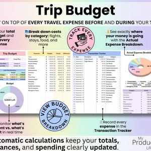 Travel Budget tab showing total trip budget entry, transaction tracker, actual expense breakdown, category totals for flights, stays, food, and real-time spending vs remaining balance.
