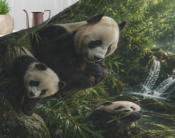 Série d'animaux mignons pour bébés pandas - Belle grande taille 60 x 80 minky, couverture en peluche chaude et confortable pour enfant, chaise-lit
