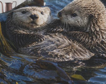 Cute Baby Otters Farm Animals Series - Rustic Large 60x80 Minky, Comfy Warm Plush Blanket Gift for Kids, Adult Enthusiast for Chair or Bed