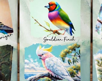 Puede incluir: Tres tazas de cerámica blanca con ilustraciones de aves estilo acuarela. Las tazas muestran imágenes etiquetadas de un periquito, una cotorra real, un diamante de Gould, una cacatúa, un lori arcoíris y una galah sobre un fondo verde claro.