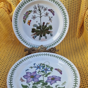 Vintage Portmeirion Botanischer Gartenteller