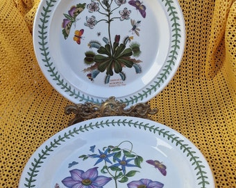 Vintage Portmeirion Botanical Garden Plate