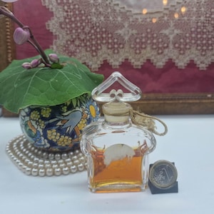May include: A small, clear glass perfume bottle with a decorative stopper. The bottle contains a golden-colored liquid. A small coin rests beside the bottle. A small floral arrangement and a decorative ceramic pot are in the background.