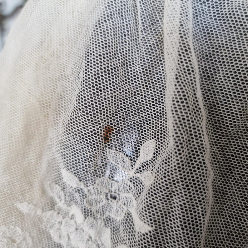 May include: Close-up of cream-coloured lace fabric with a delicate floral design. The lace has a fine mesh background and a slightly textured surface. A small, dark brown mark is visible on the fabric.