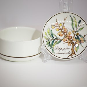 Scatola in porcellana vintage Villeroy Boch Botanica