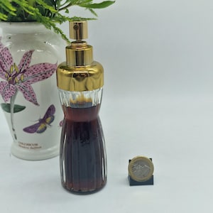 Peut inclure: Un flacon de parfum vintage avec un bouchon doré et un liquide ambré foncé à l'intérieur. La bouteille a un design côtelé et se trouve à côté d'une pièce d'un euro. Un vase décoratif avec un motif floral est en arrière-plan.