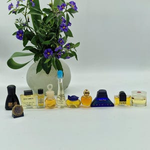 K&ouml;nnte beinhalten: Eine Sammlung von Miniatur-Parf&uuml;mflaschen in verschiedenen Formen und Farben, darunter Schwarz, Gelb und Blau. Im Hintergrund befindet sich eine Vase mit lila Blumen und gr&uuml;nen Bl&auml;ttern. Die Flaschen sind in einer Reihe angeordnet.