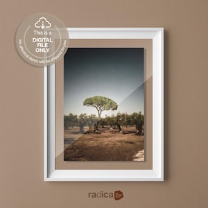 Poster artistico con ulivo siciliano, decorazione murale mediterranea serena per studi yoga, regalo di anniversario rustico in stile cottagecore