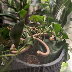 Plant Grapplers - 3D Printed