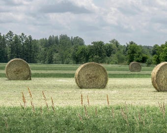 Hay Bale Field Photo: Americana Farm Landscape. Rural Country Photo (Digital Download).