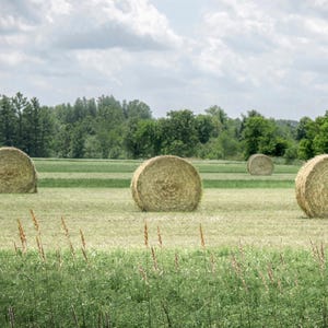 Hay Bale Field Photo: Americana Farm Landscape. Rural Country Photo (Digital Download).