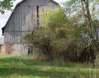 Old Gray Barn Photo: There is an old tire in the corner. (Digital Download).