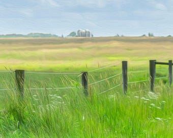 Country Fence in a Green Field. Farmhouse Photography (Digital Download).