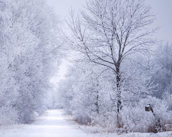 Winter Landscape Photo: Snowy Road with Birdhouse (Digital Download).
