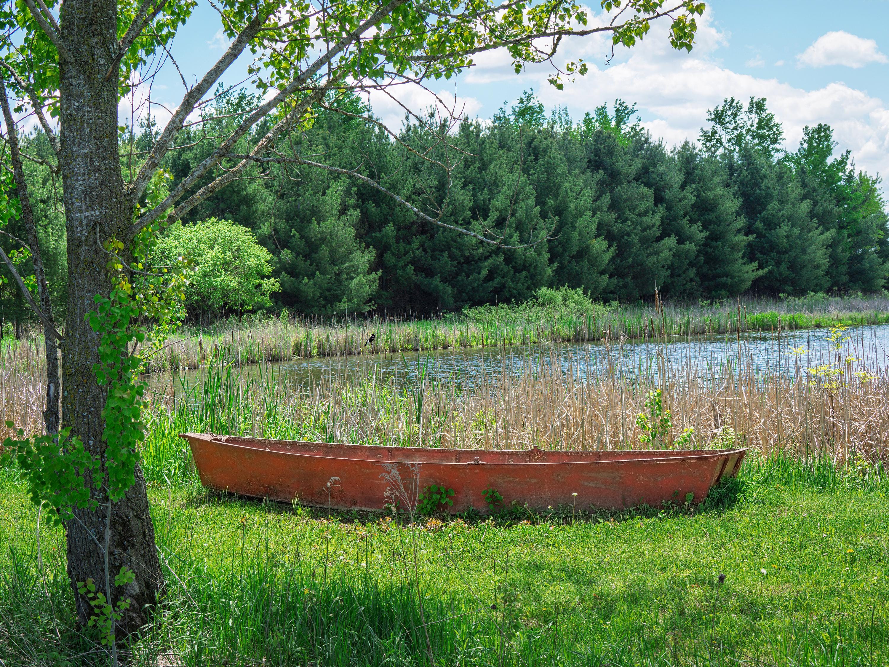 Red Canoe and River Landscape Photo: Rustic Lakehouse and Cabin Wall Art (Digital Download).