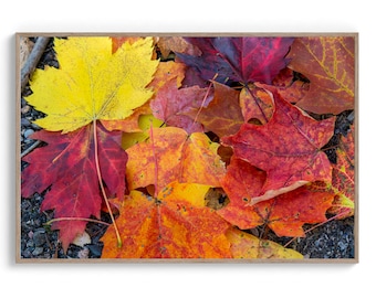 Fall Leaves. Autumn Foliage print (Digital Download).
