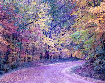 Autumn Road Photo: Fall Landscape Digital Art. (Digital Download).