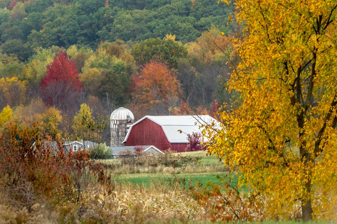 Wisconsin Fall Countryside Red Barn Fall Landscape Photo: Wisconsin Autumn Wall Art. (digital ...