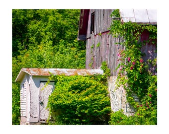 Rustic Barn Photograph: Rural Wisconsin Farmhouse Print. (Digital Download)