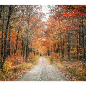 Country Road Fall Foliage: Wisconsin Autumn Landscape Photo. (Digital Download).