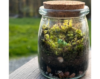 DIY Terrarium Kit for Kids: Woodland Theme Party Favor Activity Birthday Activity for Kids Tiny Terrarium Gift for Plant Lovers