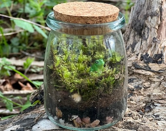 DIY Terrarium Kit for Kids: Woodland Moss Garden Party Favor