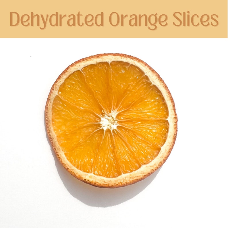 May include: A single, dried orange slice with a bright orange interior and a light brown outer edge. The image includes the text "Dehydrated Orange Slices" in a light brown font above the slice. The slice is centered on a white background.