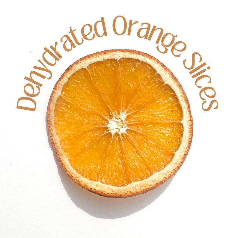 May include: A single, dried orange slice with a bright orange interior and a light brown rind. The text "Dehydrated Orange Slices" is arched above the fruit. The slice is centered on a white background.