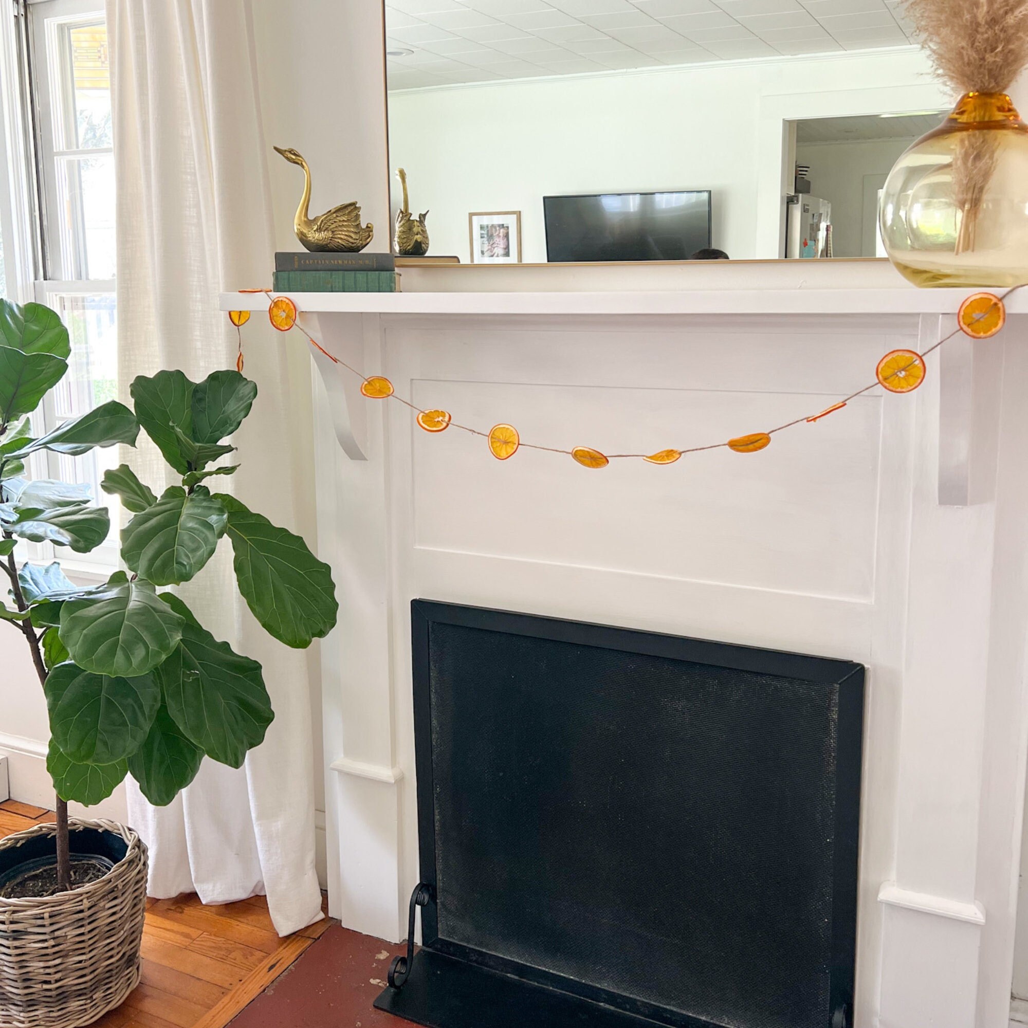 Little Cutie Baby Shower Citrus Garland Decor Little Cutie Party Decorations Orange Themed Party Garland Table Decor Dried