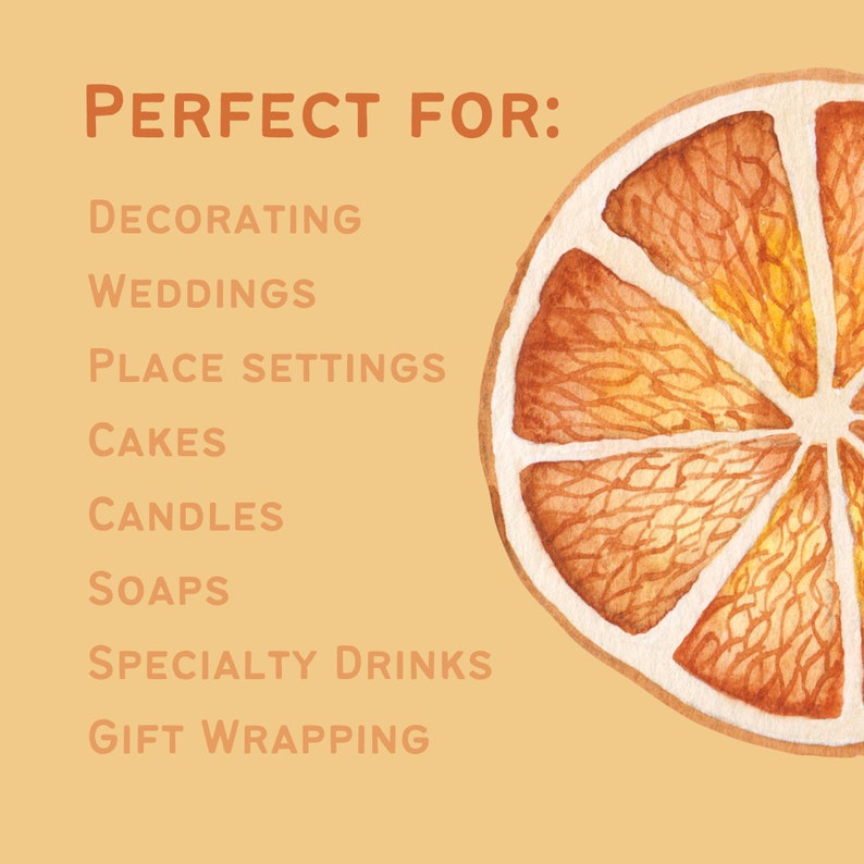May include: Watercolor illustration of an orange slice on a light orange background. Text reads "PERFECT FOR: DECORATING, WEDDINGS, PLACE SETTINGS, CAKES, CANDLES, SOAPS, SPECIALTY DRINKS, GIFT WRAPPING."