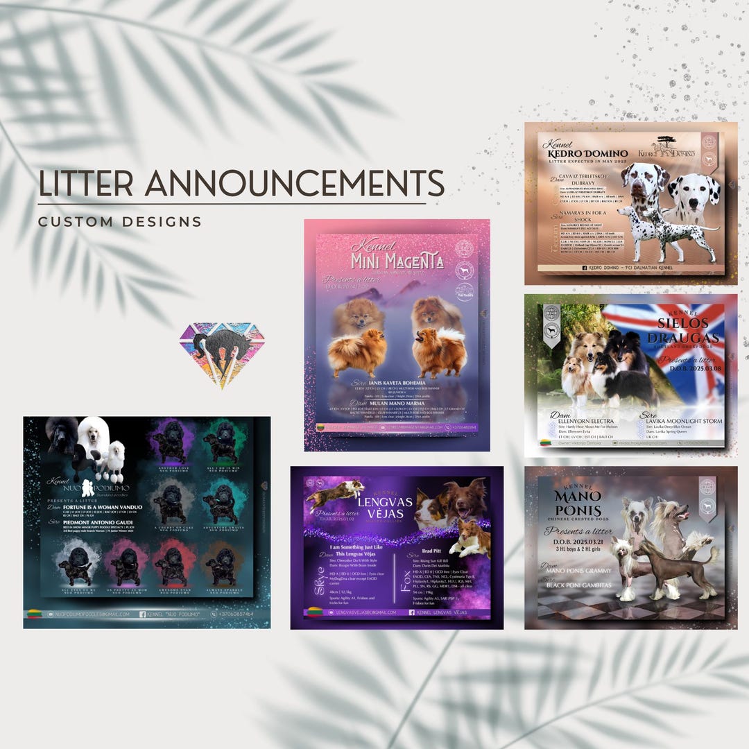 Custom Breeder Graphic Design Litter Announcement Stud Dog Flyer Custom Breeder Graphic Design Litter Announcement Stud Dog Flyer
