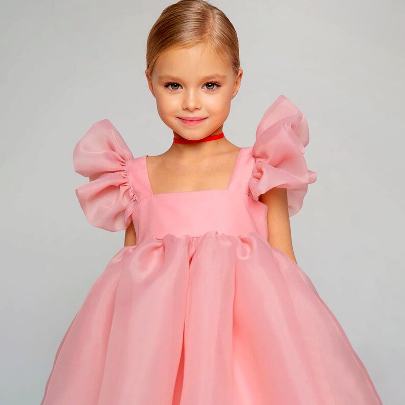 Birthday Girl Puffy Dress Toddler Tulle Tutu Dress Blush Etsy