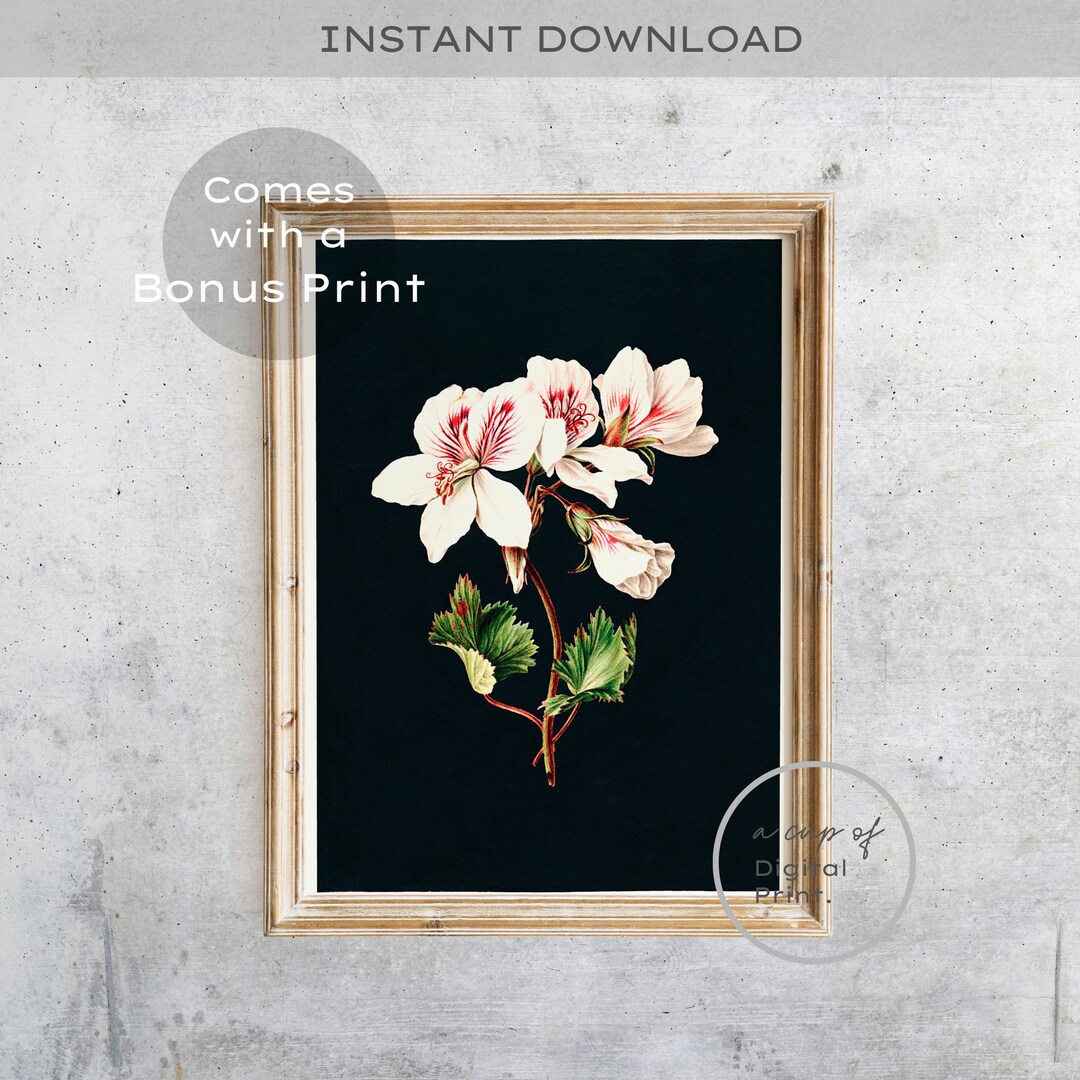 Vintage Dark Botanical Printable Wall Art Moody Floral Still Life ...