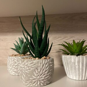 Peut inclure: Trois plantes succulentes en pot avec des feuilles vertes. Les pots sont en béton gris avec un design texturé.