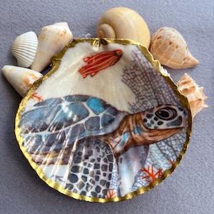 Peut inclure: Coquillage décoratif avec un motif de tortue de mer peint en bleu, marron et blanc, bordé d'or. Plusieurs autres coquillages entourent la coquille principale, créant un thème côtier.