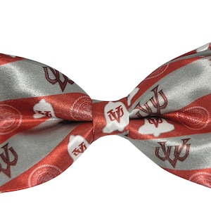 Virginia Union Universität Fliege - Benutzerdefinierte VUU HBCU Fliege für Männer - Handgemachtes Geschenk zum Abschluss - Formelles College Accessoire