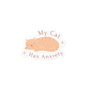 Mijn kat heeft angst sticker - GRATIS VERZENDING - Waterfles sticker - Student Stickers - Grappige Stickers - Angst Stickers - Kat Stickers