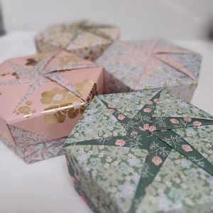 HEXAGON PASTEL (Lot 4 boîtes)