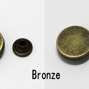 May include: Two bronze-colored metal rivets with a silver-colored nail. The rivets are round and have a slightly textured surface. The nail is pointed and has a flat head.