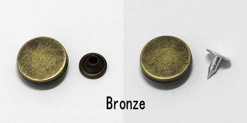May include: Two bronze-colored metal rivets with a silver-colored nail. The rivets are round and have a slightly textured surface. The nail is pointed and has a flat head.