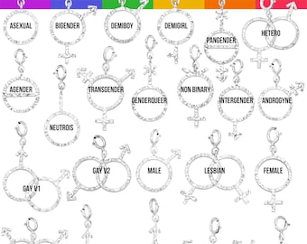 LGBTQ Pride Sterling Silver Charm Necklace: Gay Lesbian NonBinary Transgender Jewelry, Gift