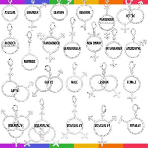 LGBTQ Pride Sterling Silver Charm Necklace: Gay Lesbian NonBinary Transgender Jewelry